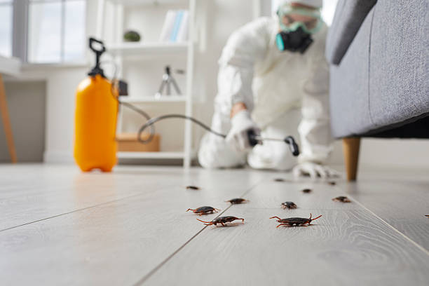 Trusted Fumigation Services service in Pensacola, FL - Nex Pest Control